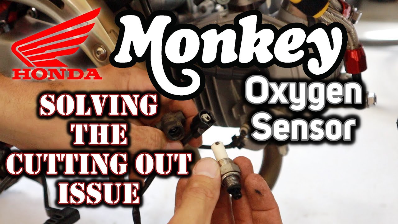 Honda Monkey Cutting Out Issue - Troubleshooting the Oxygen Sensor