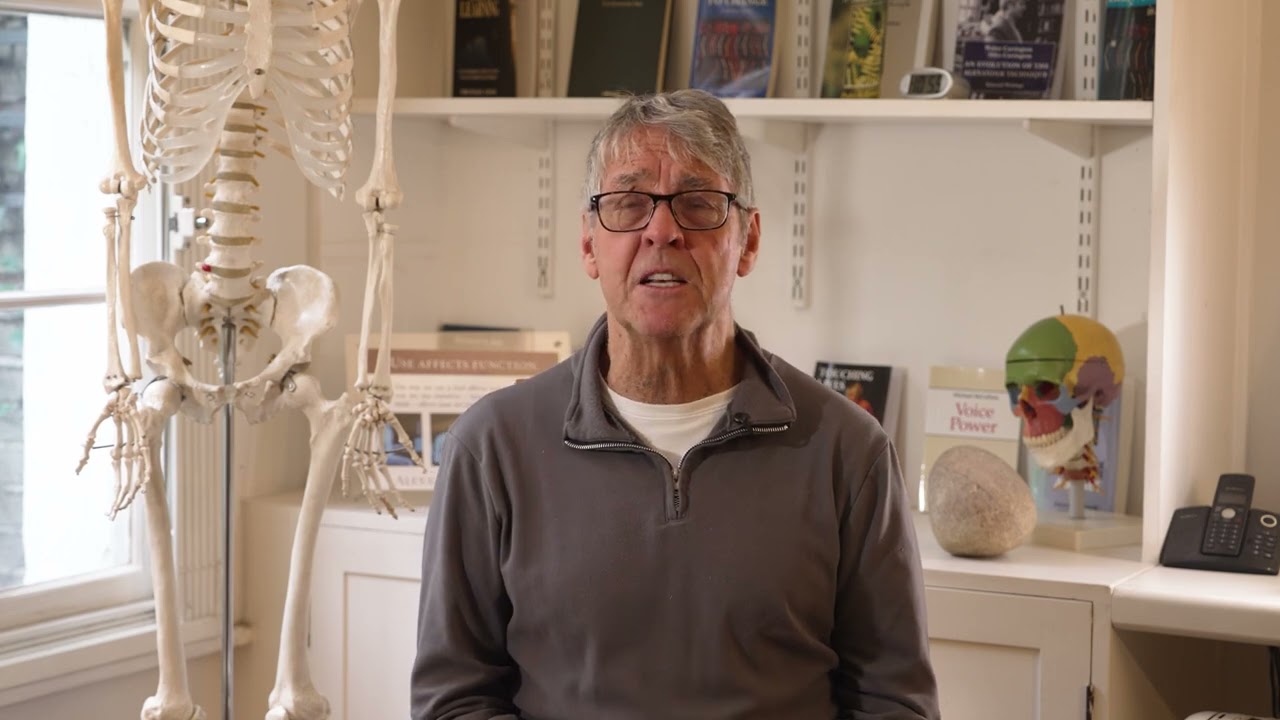 Pimlico Centre for Alexander Technique for Stress and Anxiety - Client Testimonial, Bill Parker