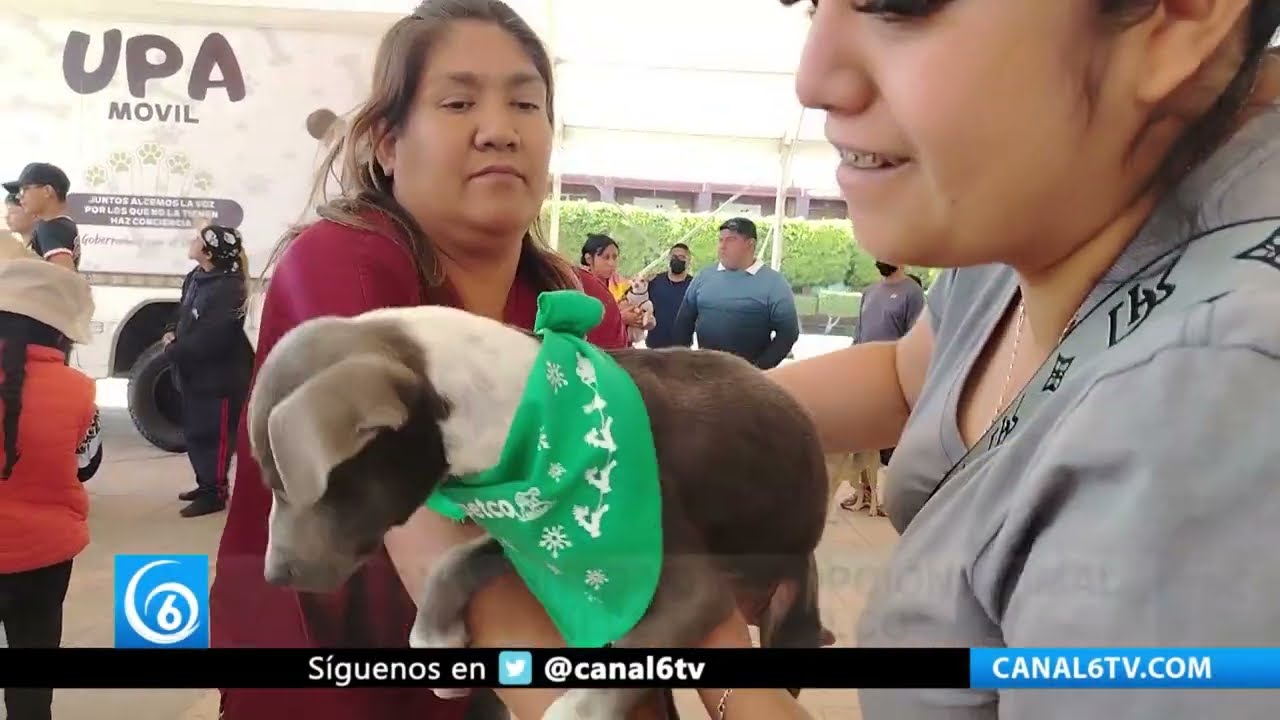 Realizan jornada de adopción animal en #ValleDeChalco