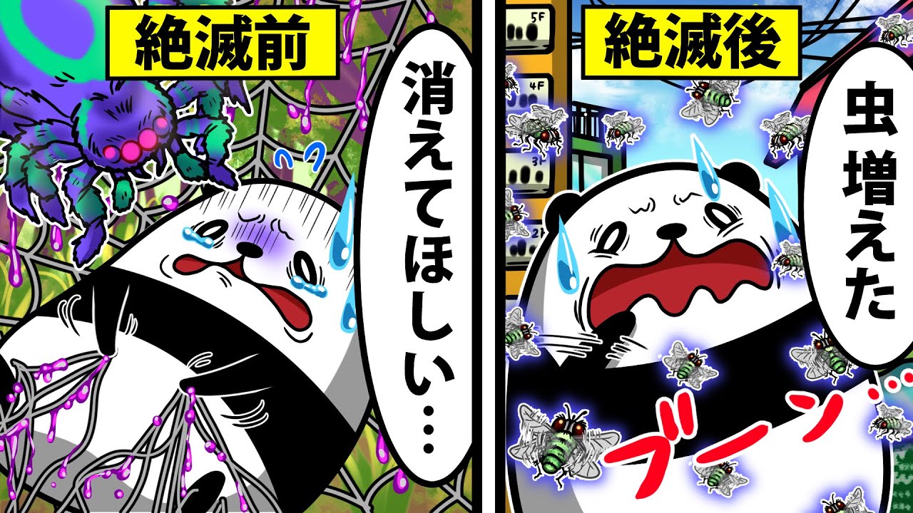 【アニメ】蜘蛛が絶滅するとどうなるのか？
