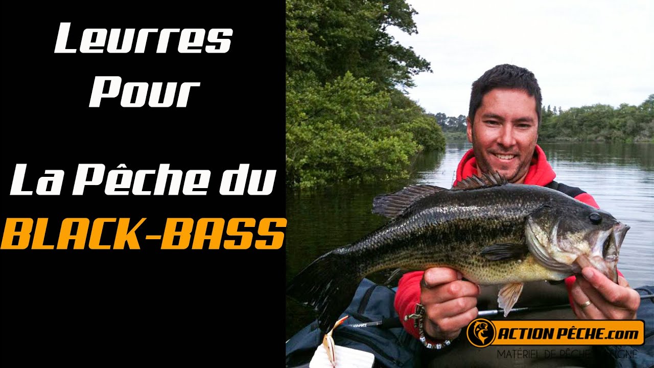 Quels leurres pour la pêche du BLACK -BASS ? - Action Pêche