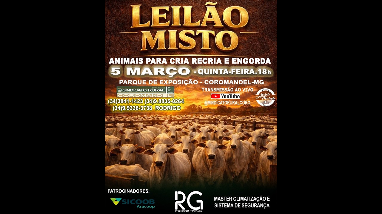 LEILÃO MISTO  5 DE MARÇO 2026