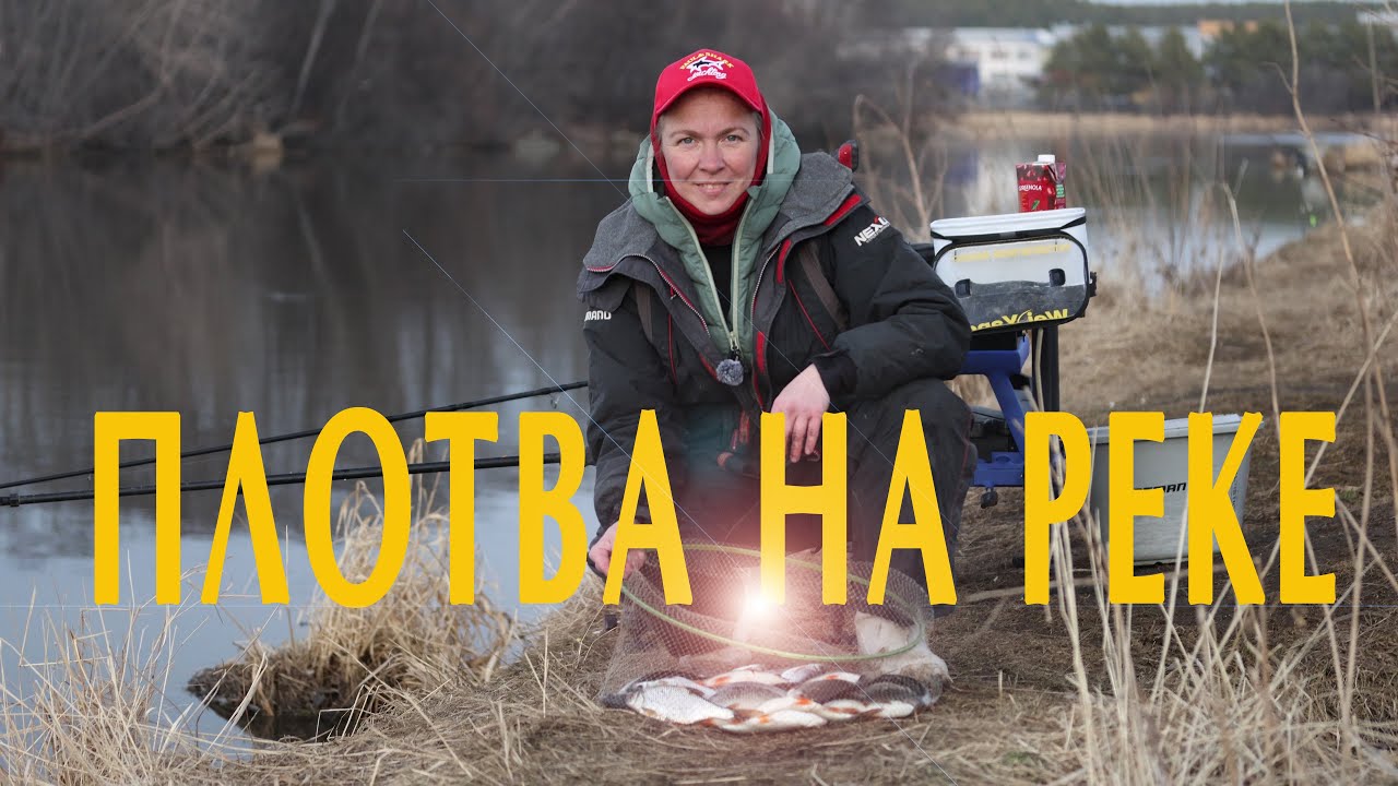 Плотва на реке
