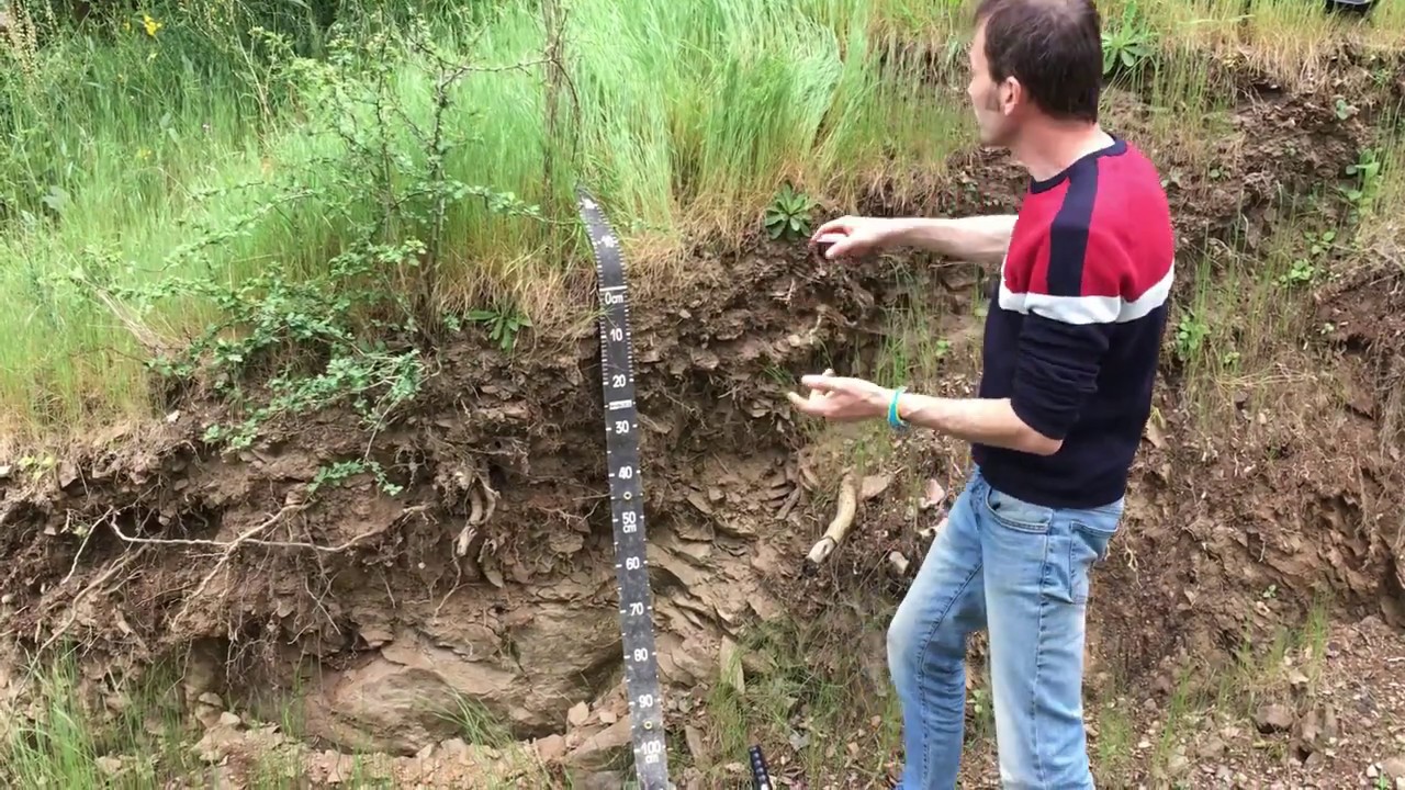 Terrain PEDOLOGIE II Sols et Paysages n°2