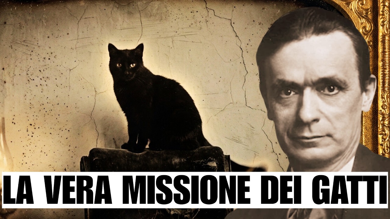 Il tuo gatto sa più di te – Rudolf Steiner sul legame invisibile tra uomo e animale