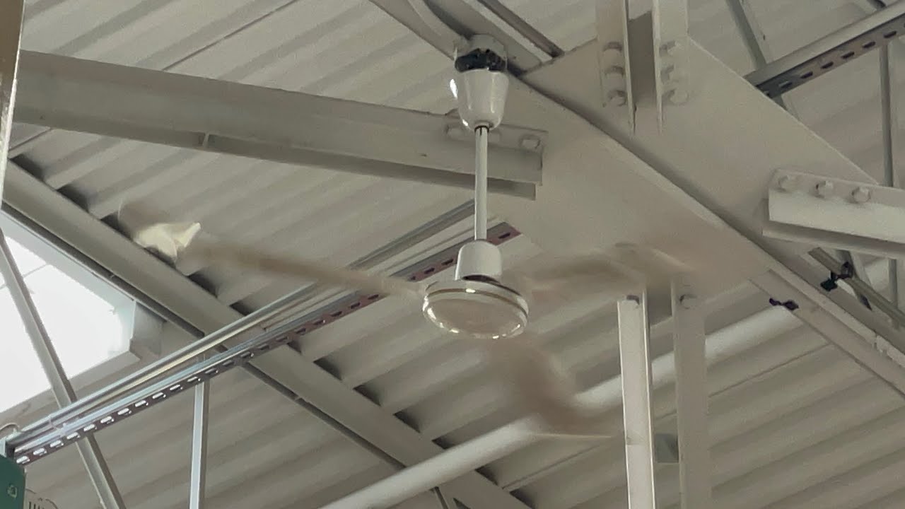 Canarm CP56 Industrial Ceiling Fans (Now all removed!)