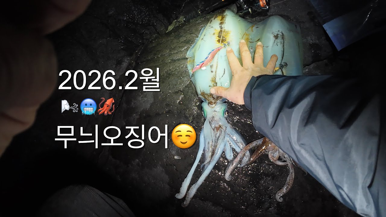 겨울 에깅낚시 추워도 끊을수 없는 이유!!🦑🐾🥶 (Feat 순간찰라 입질 슬로우모션)