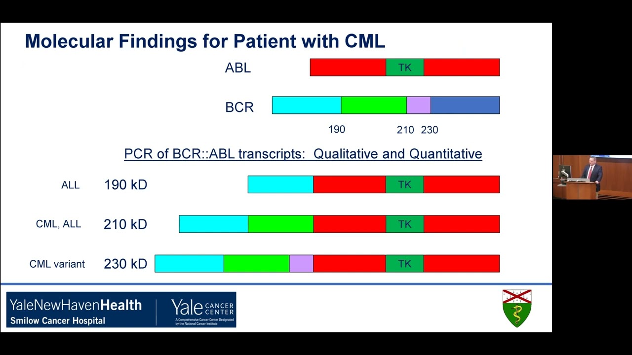 Yale Cancer Center Grand Rounds/Sturges Lecture in Hematology | June 7, 2024