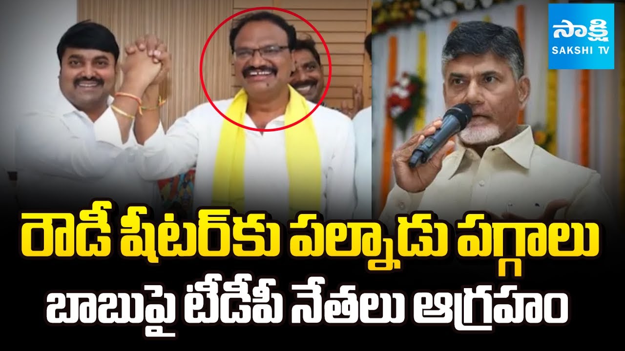 Chandrababu Gives Palnadu District TDP President to Rowdy Sheeter Sheikh John Saida | Sakshi TV