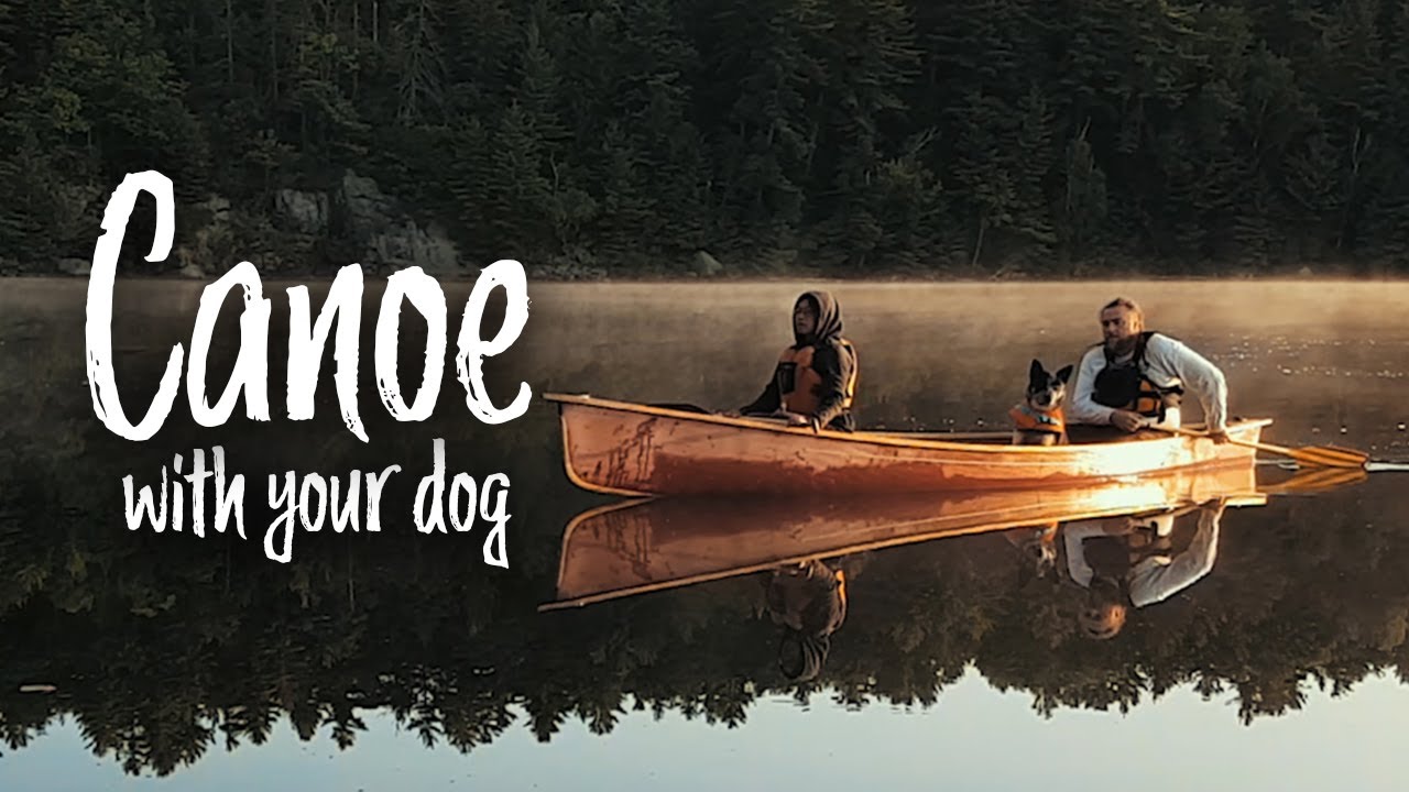 How to Canoe with a Dog
