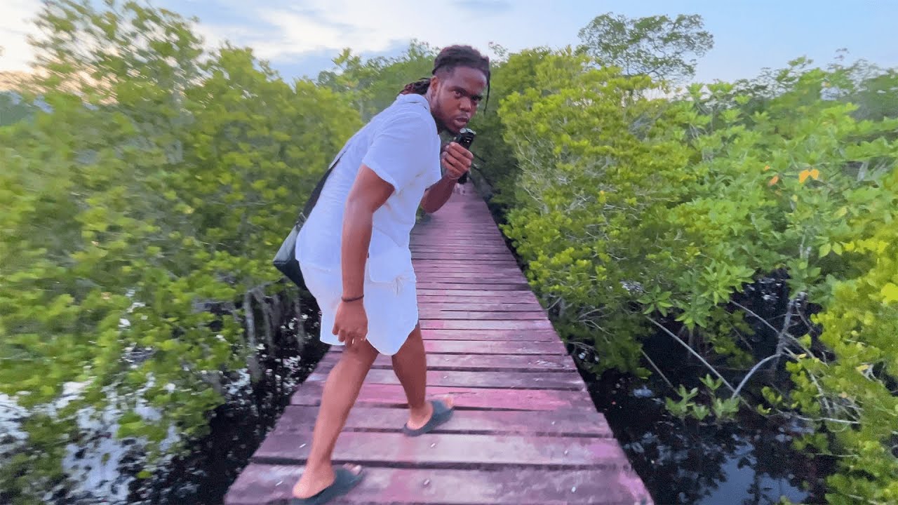 ASMR in the Forest 🌳