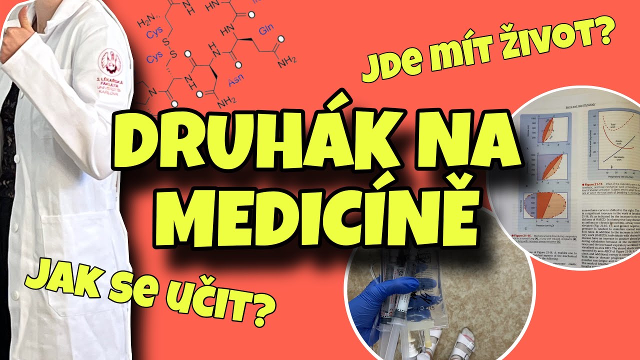 Co tě fakt čeká po prváku na medicíně?