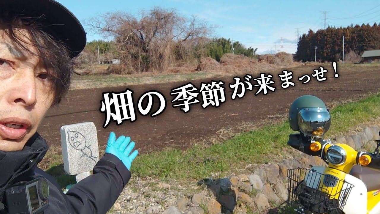 終わったと思ったら始まるんかい