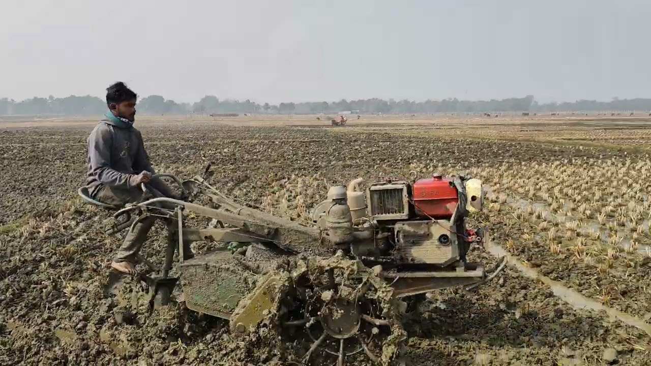 পাওয়ার টিলার দিয়ে জমি চাষ  Power Tiller Farming in Bangladesh 🌾🚜