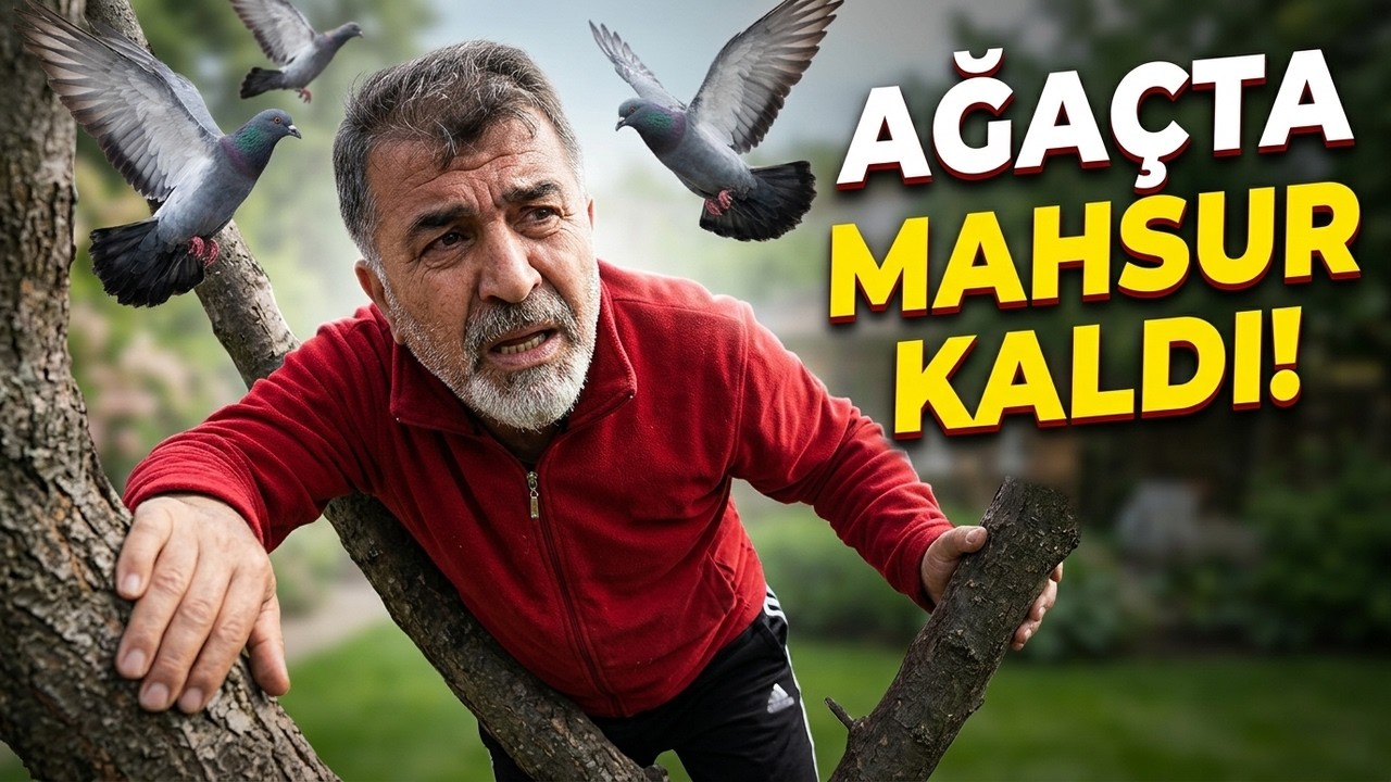 53 YAŞINDA ADAM AĞAÇTA NE İŞİN VAR? SAKATLIK ÇIKACAKTI