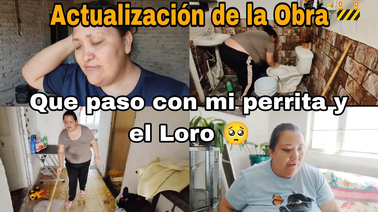 ACTUALIZACIÓN de La Obra / Que paso con mi perrita / Y Qué fue del Loro 🦜#vida #home #hogar #yes