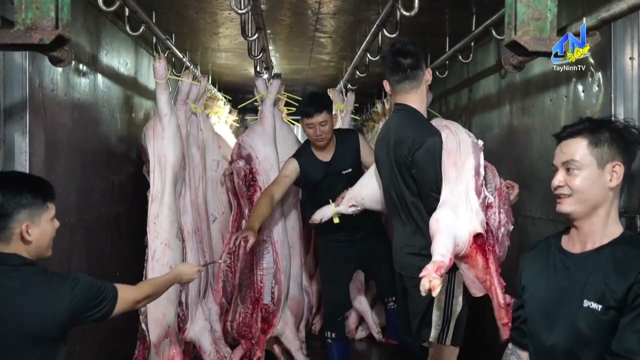 Thời sự địa phương chiều 18-2-2026 | TayNinhTVDVC