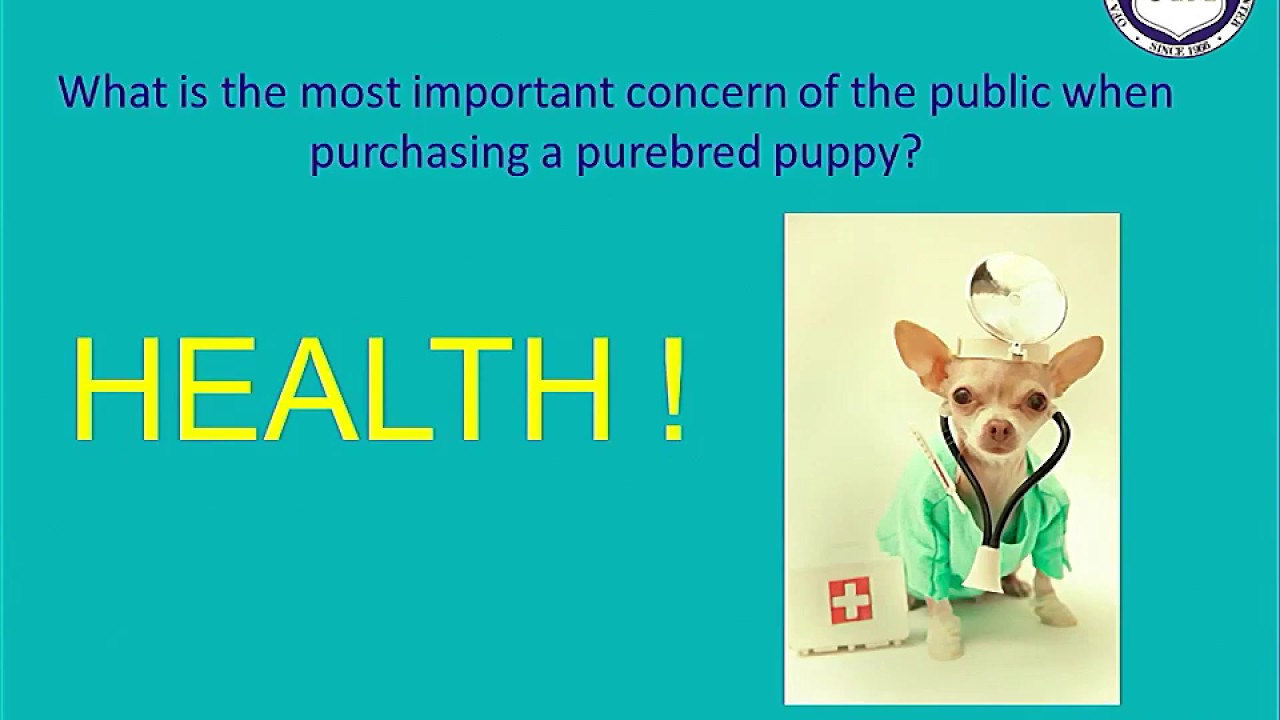 OFA - Puppy Health