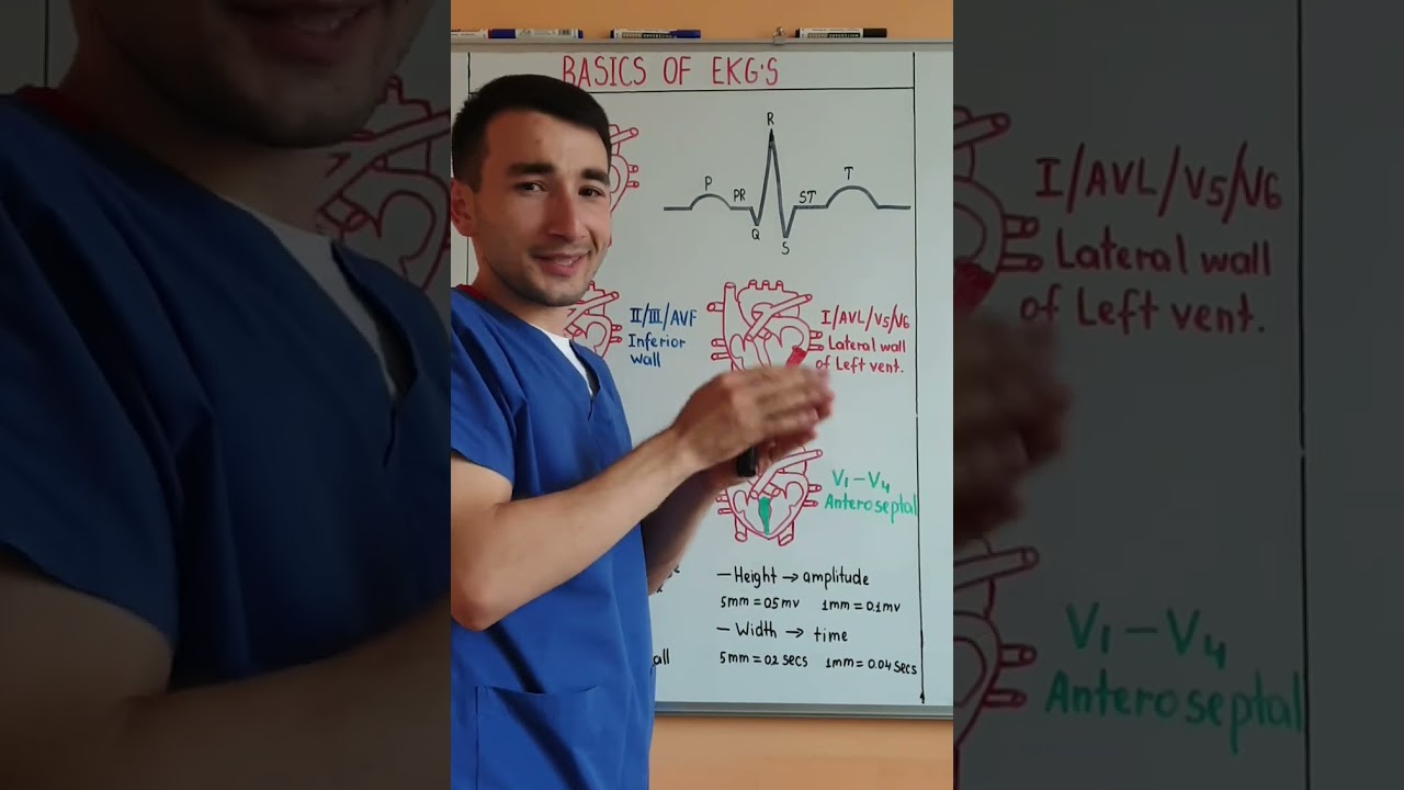 1-qism Ekg asoslari haqida / Basics ekg / eng quyidan eng mukammalgacha