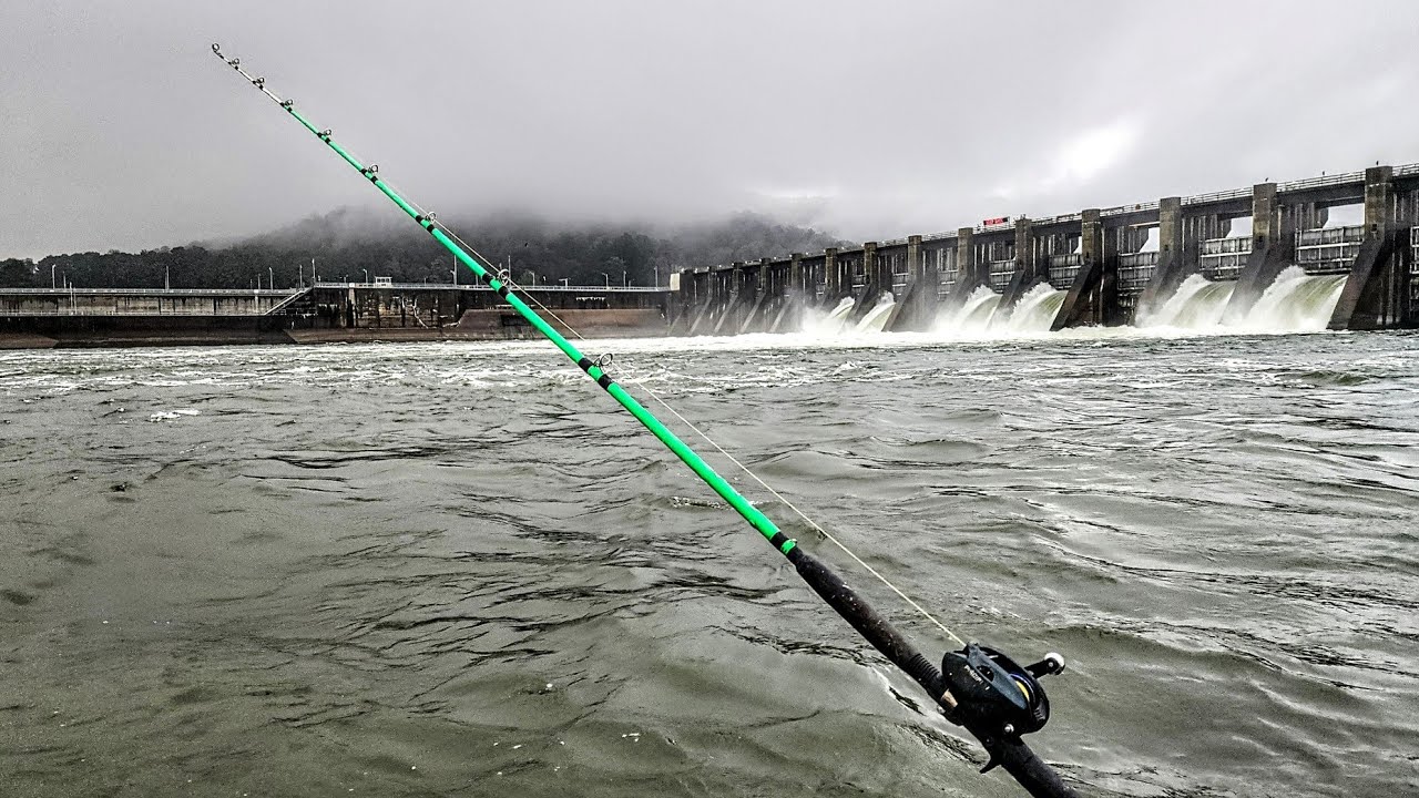 The Part of Catfishing NO ONE TALKS ABOUT!!! (Dam Fishing)