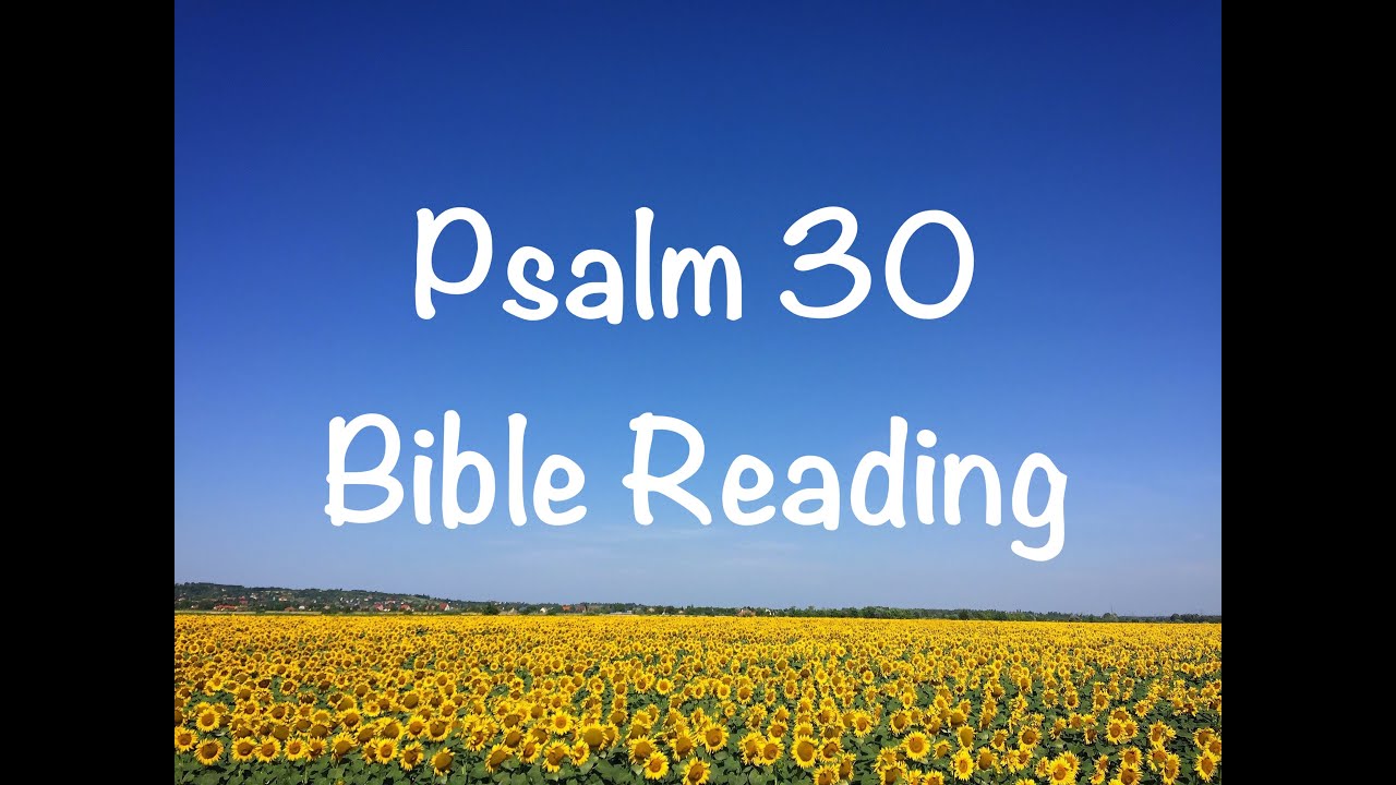 Psalm 30 - NIV Version (Bible Reading with Scripture/Words)