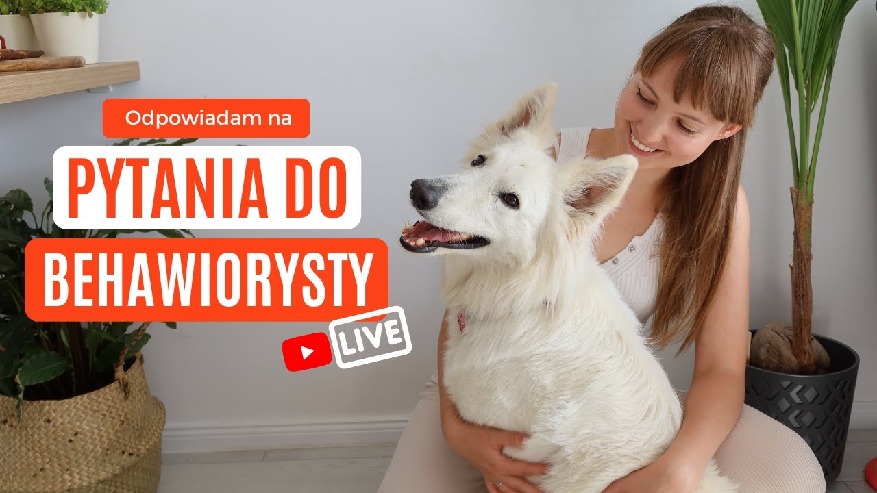 DZIEŃ PSA! Pytania do behawiorysty - live!