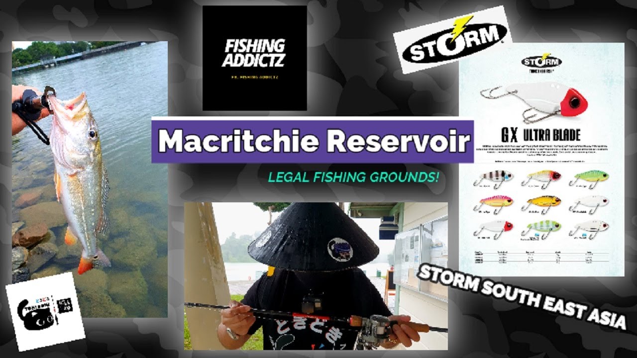 STORM GX ULTRA BLADE | Macritchie Reservoir LEGAL GROUNDS | Peacock bass fishing #fishingsingapore