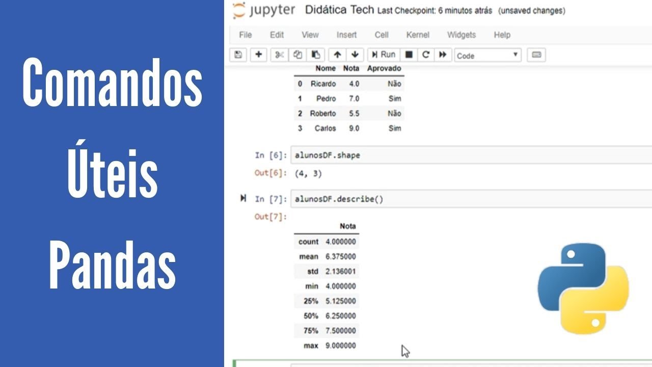 Aprenda comandos úteis no Pandas (Python para machine learning - Aula 13)