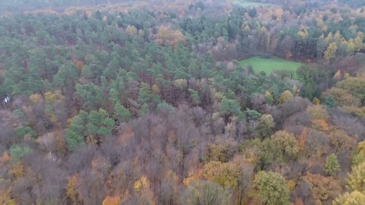 Der D&auml;mmerwald im Herbst