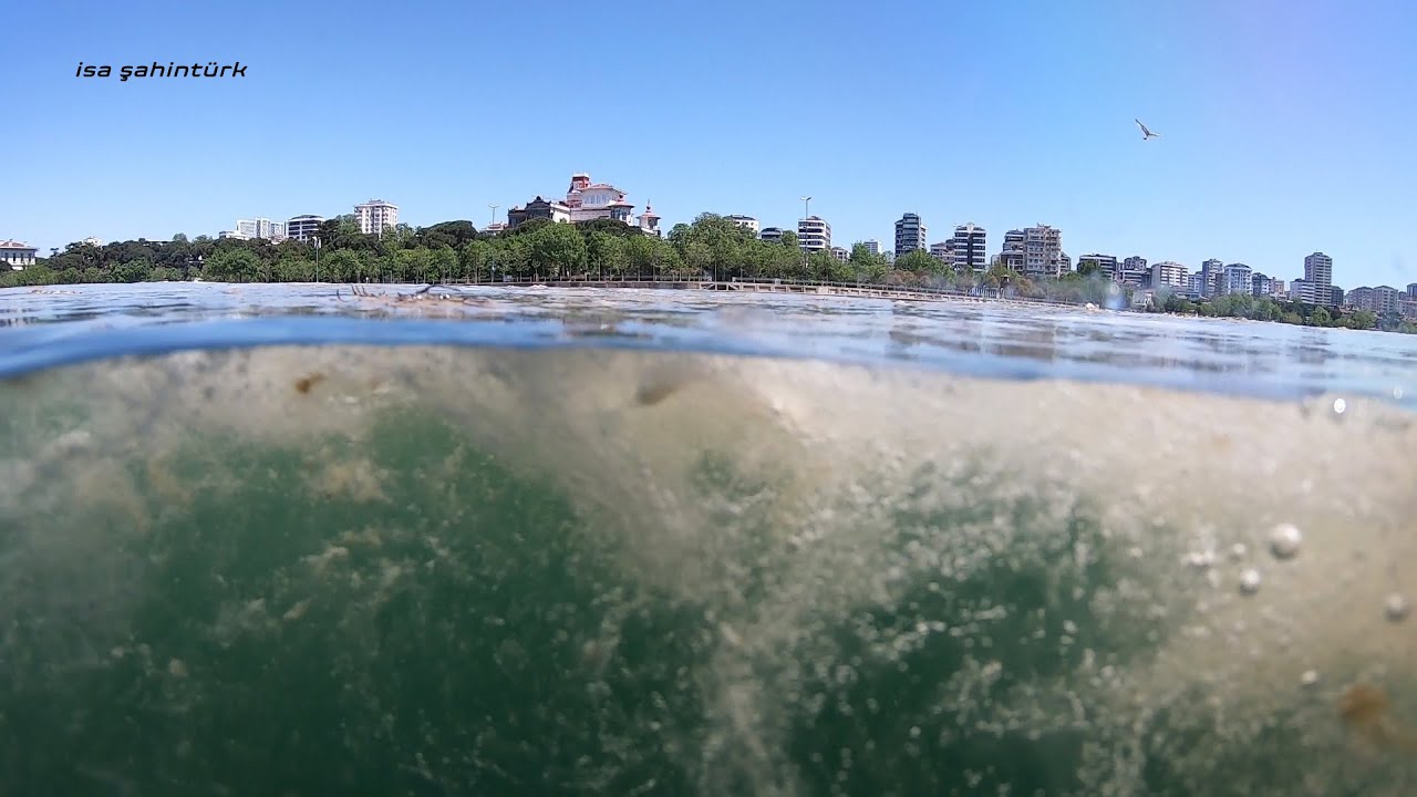 Marmara'daki Büyük Tehlike!  |  Mayıs 2021 İstanbul Dalışı