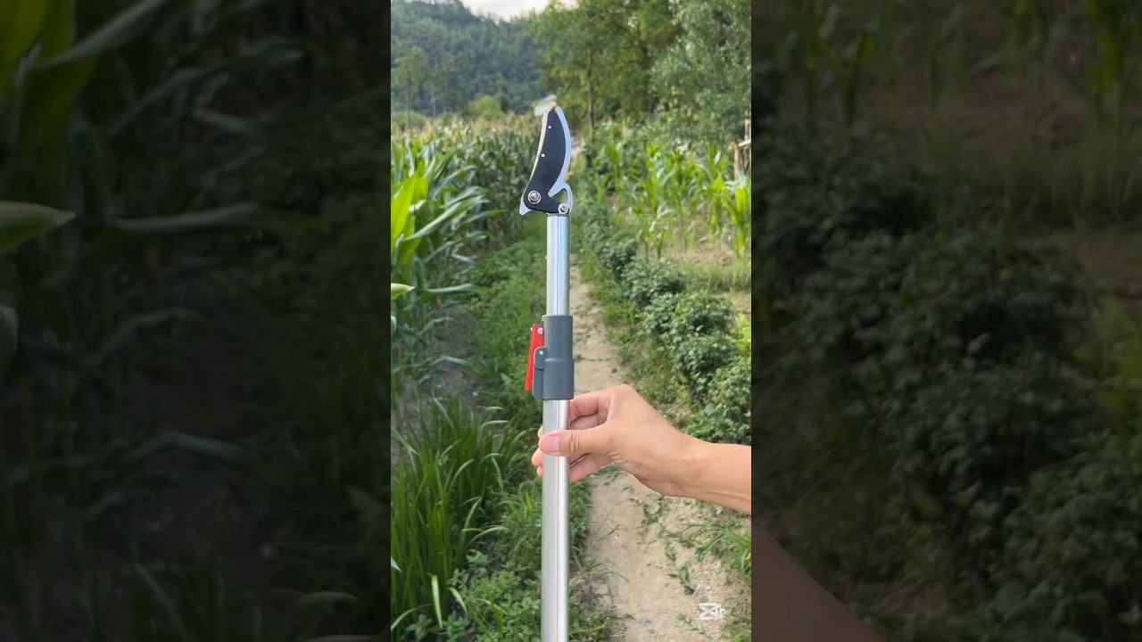 Practical telescopic fruit picker #fruitpicker #gardentools #tooltips