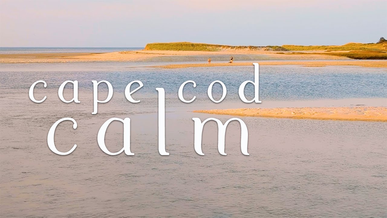 Calming Moments from Cape Cod 🌊✨💙