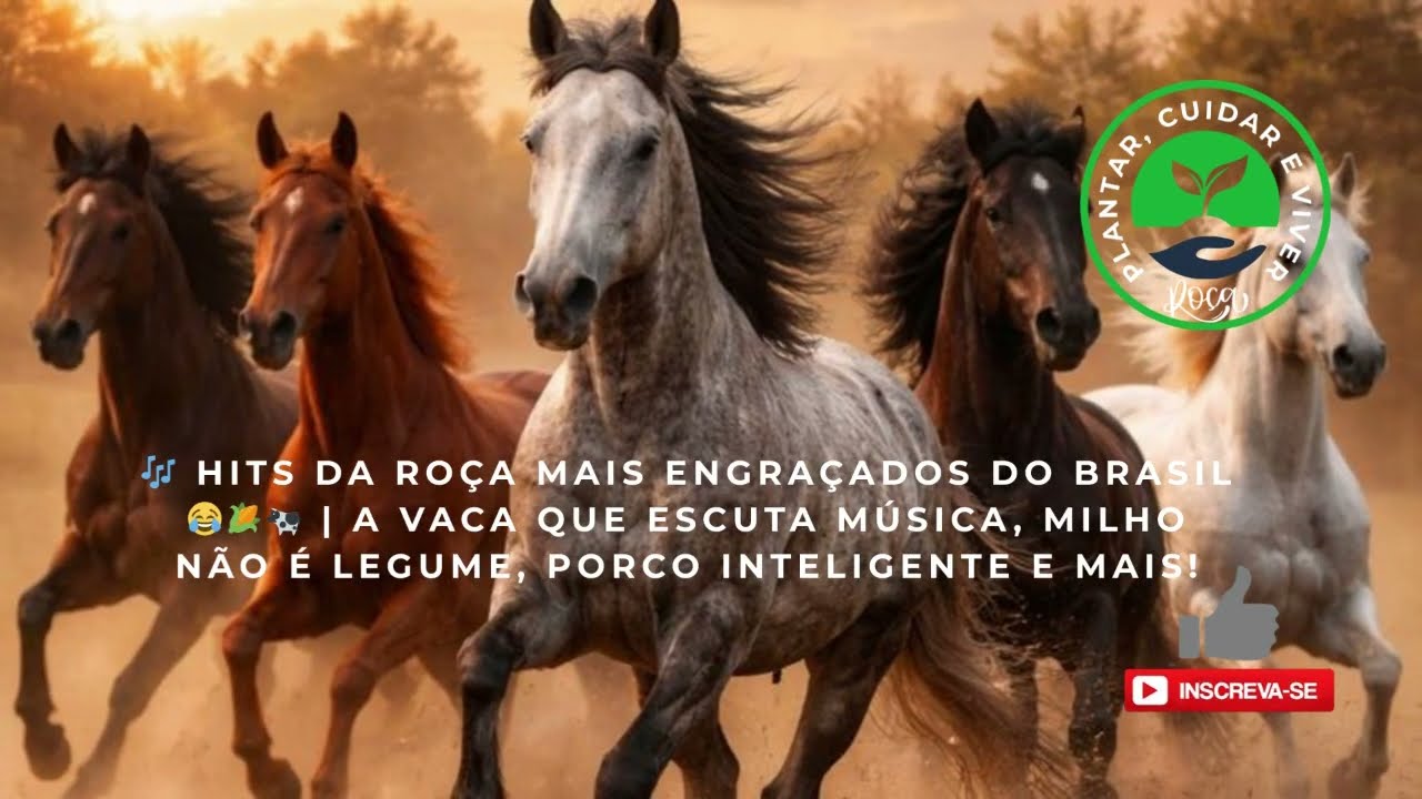 🎶 HITS DA ROÇA MAIS ENGRAÇADOS DO BRASIL 😂🌽🐄  PARTE 03