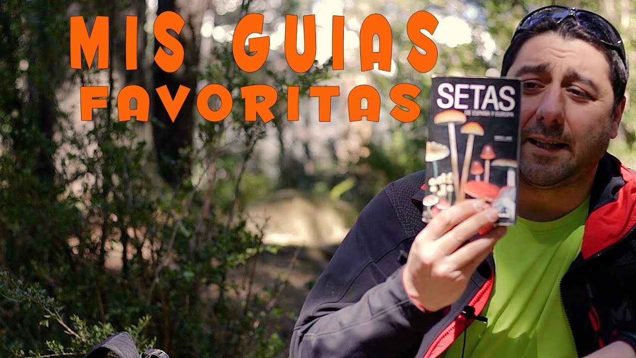 Mis Guías favoritas de setas