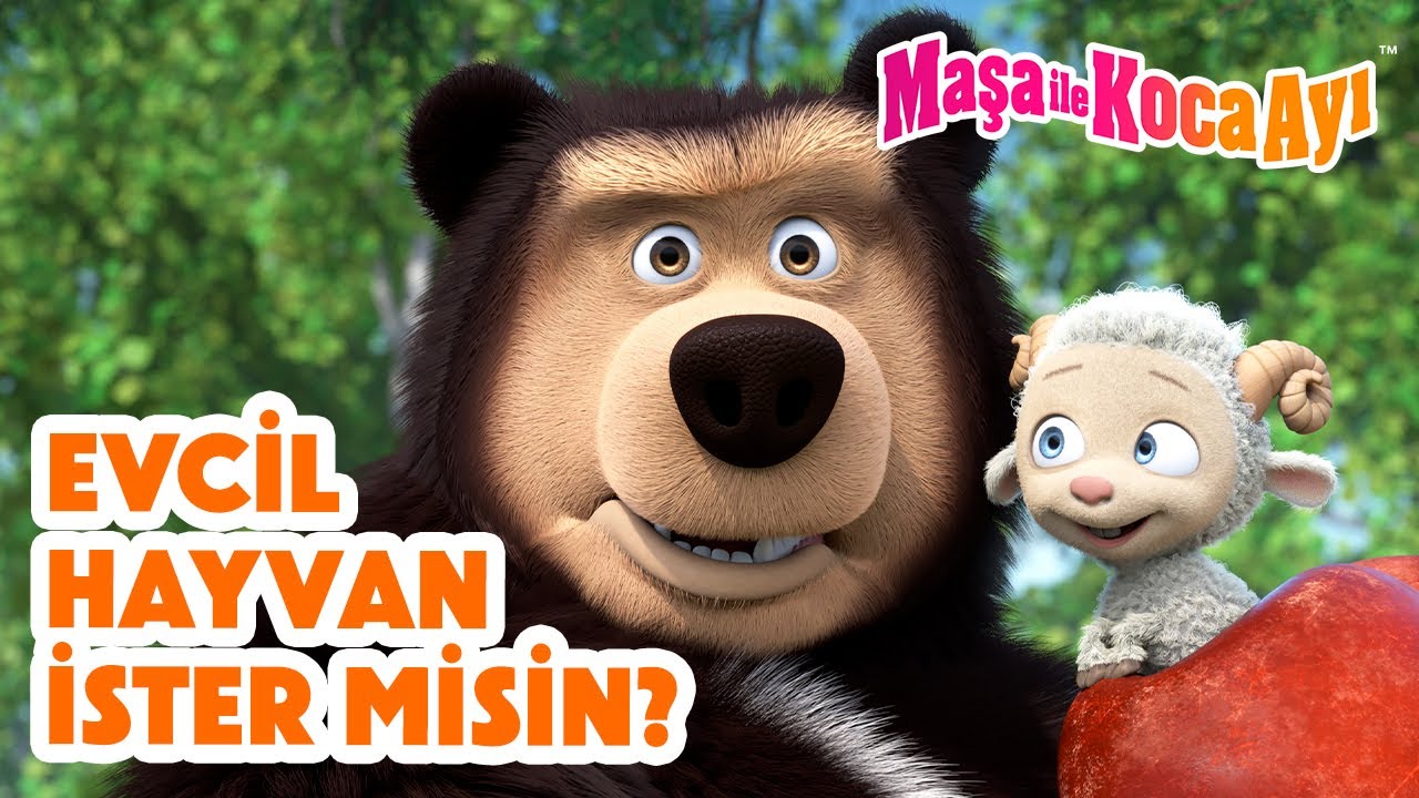 Maşa İle Koca Ayı 🐶 Evcil hayvan ister misin? 🐱❓ Masha and the Bear Turkey