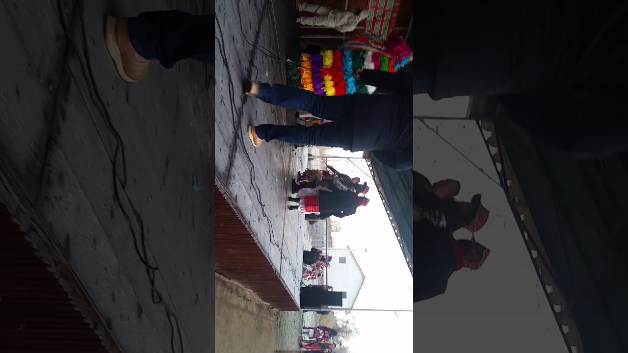 Capra Prajoaia 2017-2018 la primăria Livezi