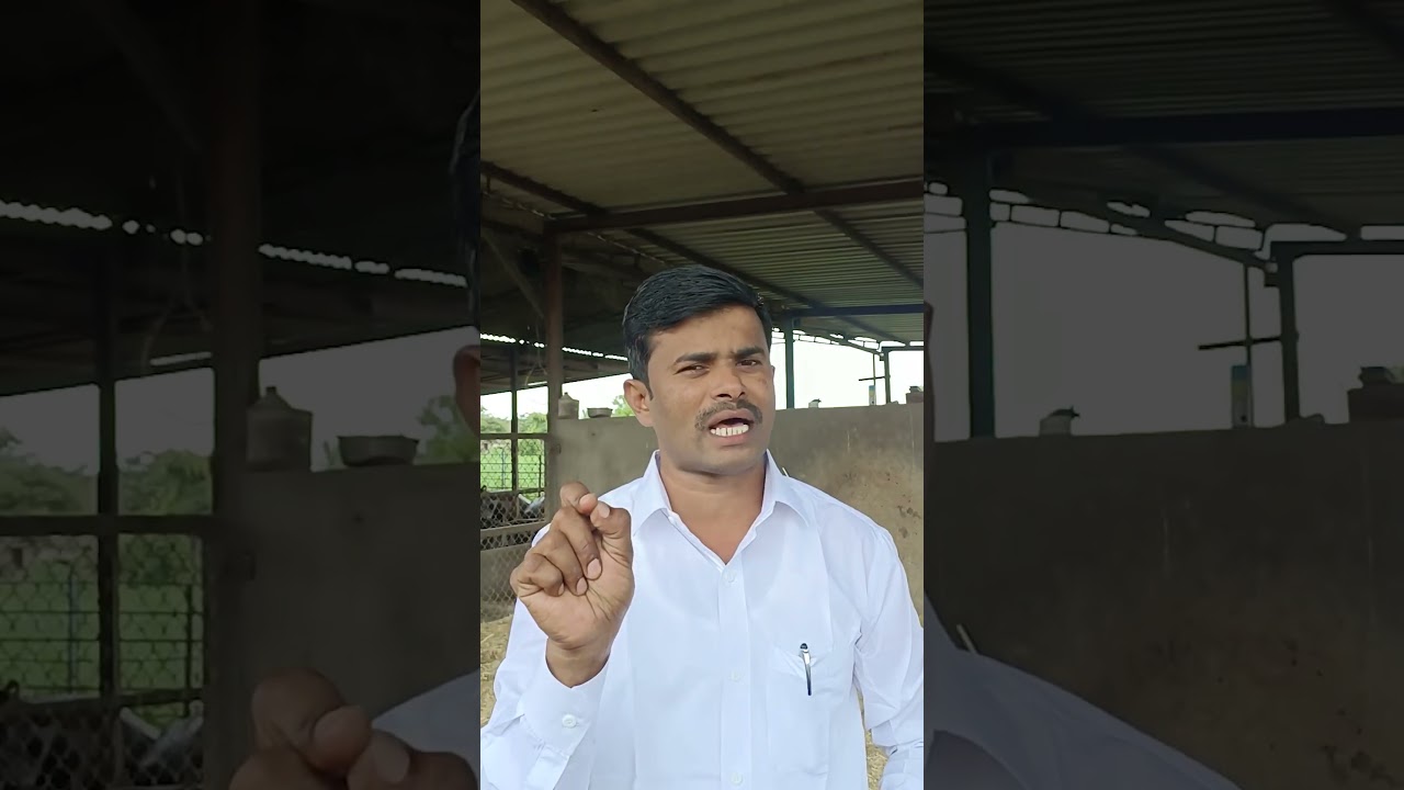 १०० टक्के फॅट आणि S.N.F. वाढणार