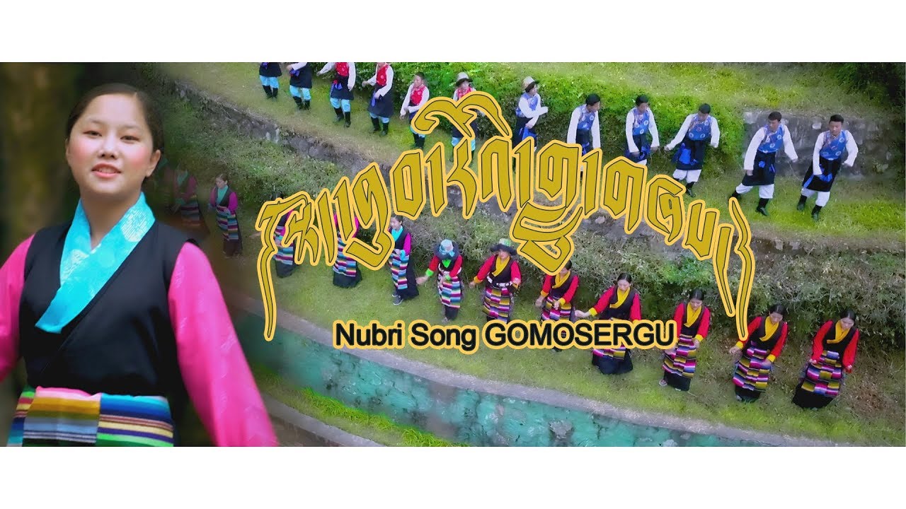 Nubri Song| Gomosergu| 2019 Tibetan Traditional Song|