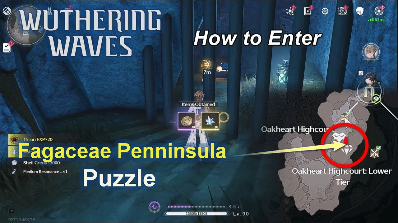 How to Enter  Get Premium Chest & Sonance Casket | Fagaceae Penninsula Puzzle | Wuthering Waves 2.0