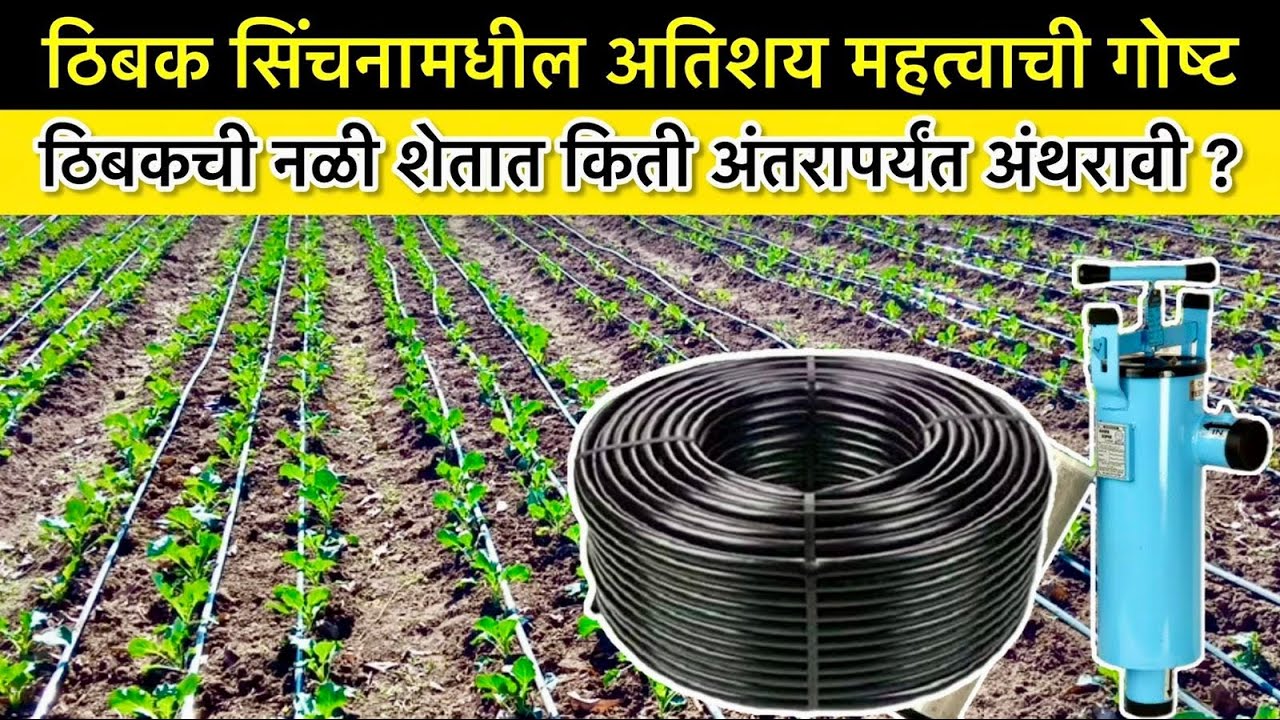 ठिबक सिंचनामधील अतिशय महत्वाची गोष्ट | Drip irrigation system