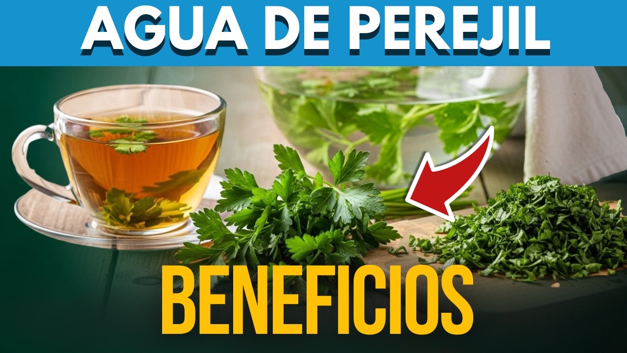 El PODER OCULTO del PEREJIL🌱 ¿Para QUE SIRVE el PEREJIL? Beneficios y Propiedades para tu SALUD