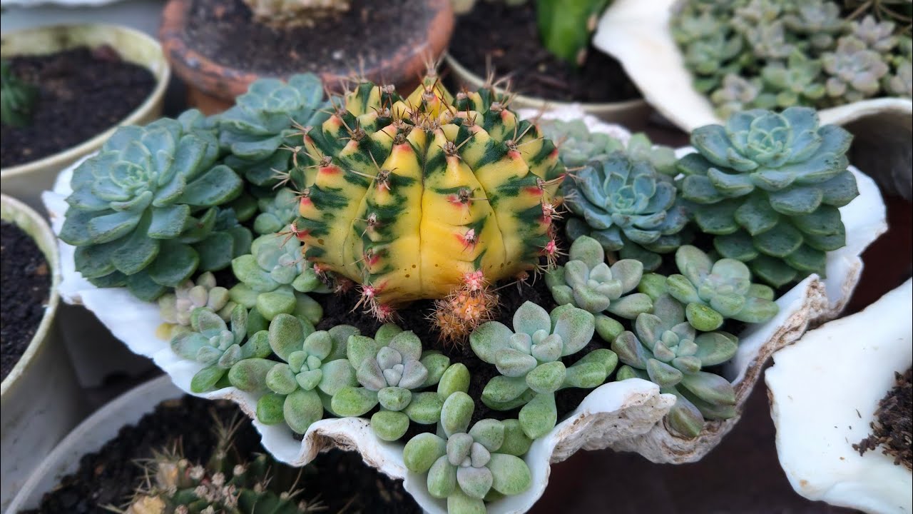 DIY Planter ideas na maganda at unique ito na yon!👇