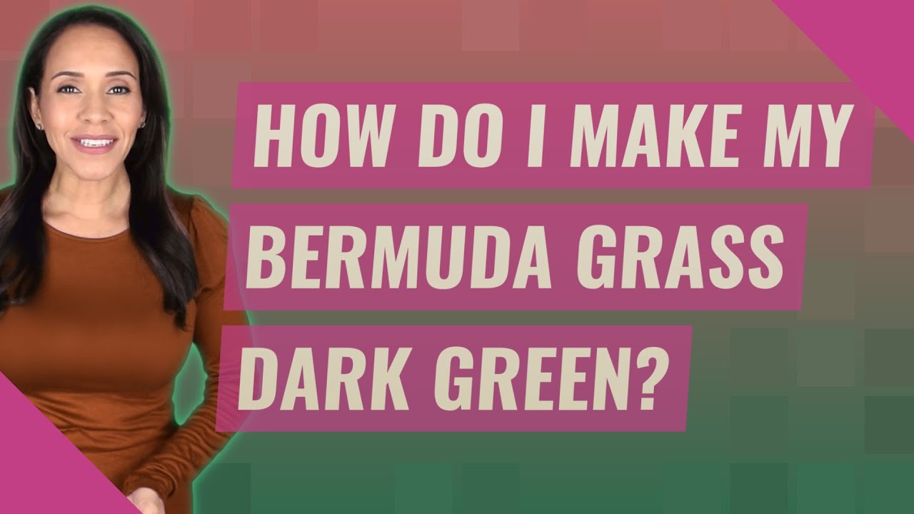 How do I make my Bermuda grass dark green?