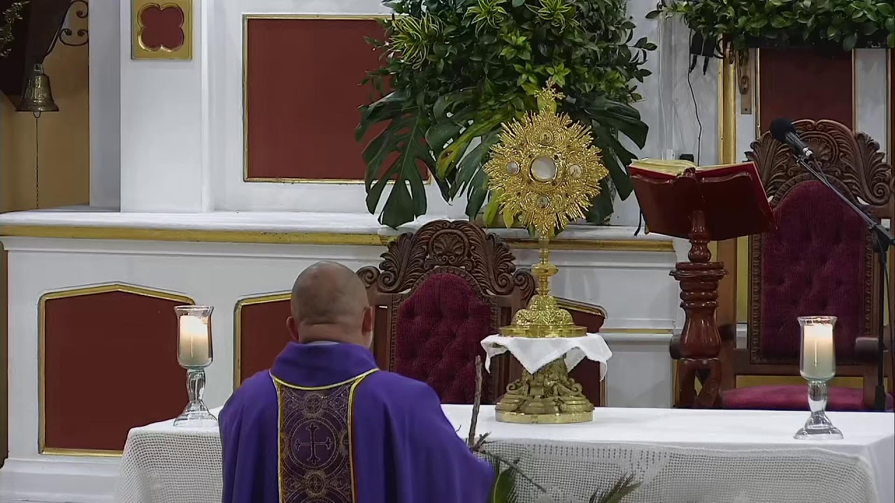 Santa Misa  de 12:00 m | Segunda  Semana de Cuaresma  | Miércoles  04  Marzo  2026