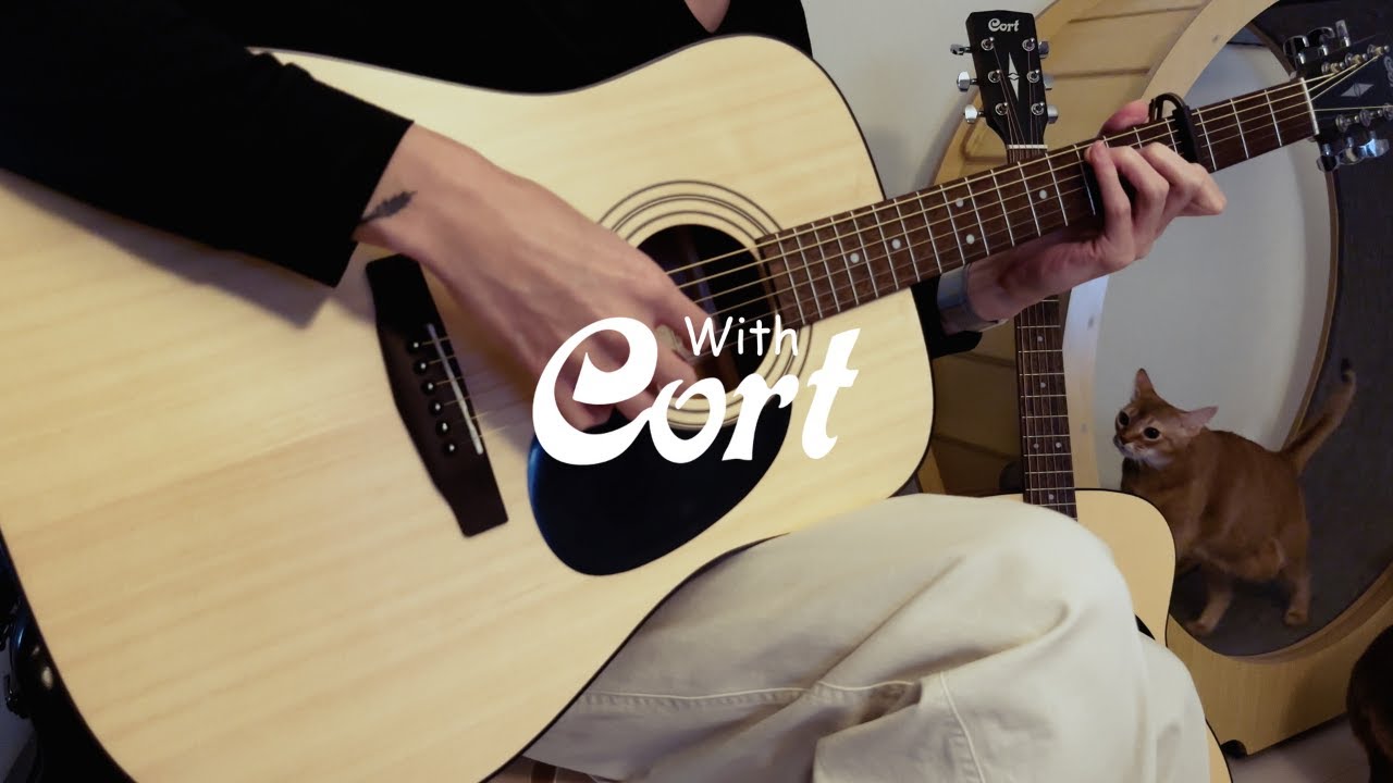 핑거스타일 쉬운 입문곡 BEST 5 / Cort AD810 vs Cort AF510