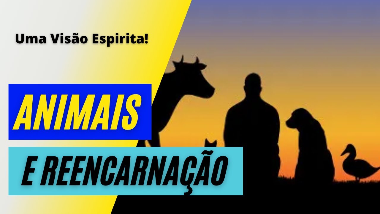 Animais e Reencarnação | Uma Visão Espirita
