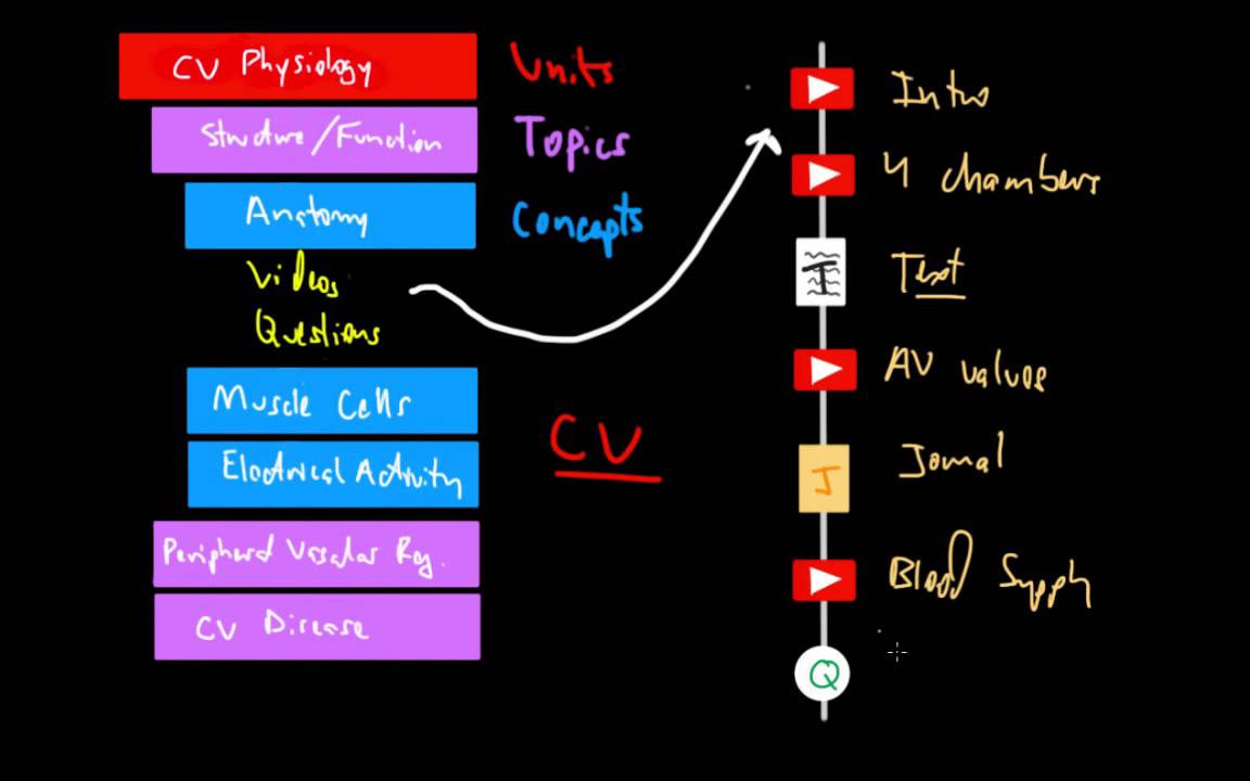 'Cane Academy - Implementation (part 2 of 3)
