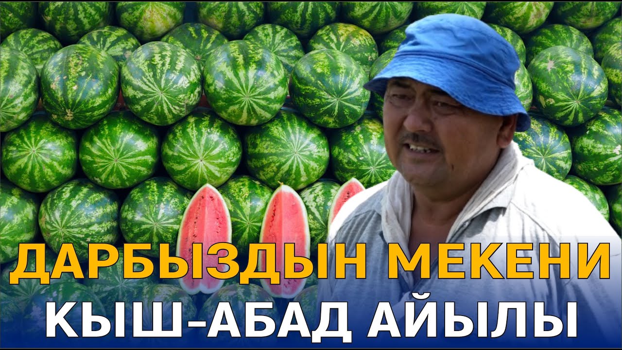 ДАРБЫЗДЫН МЕКЕНИ КЫШ-АБАД АЙЫЛЫ//МЕНИН АЙЫЛЫМ