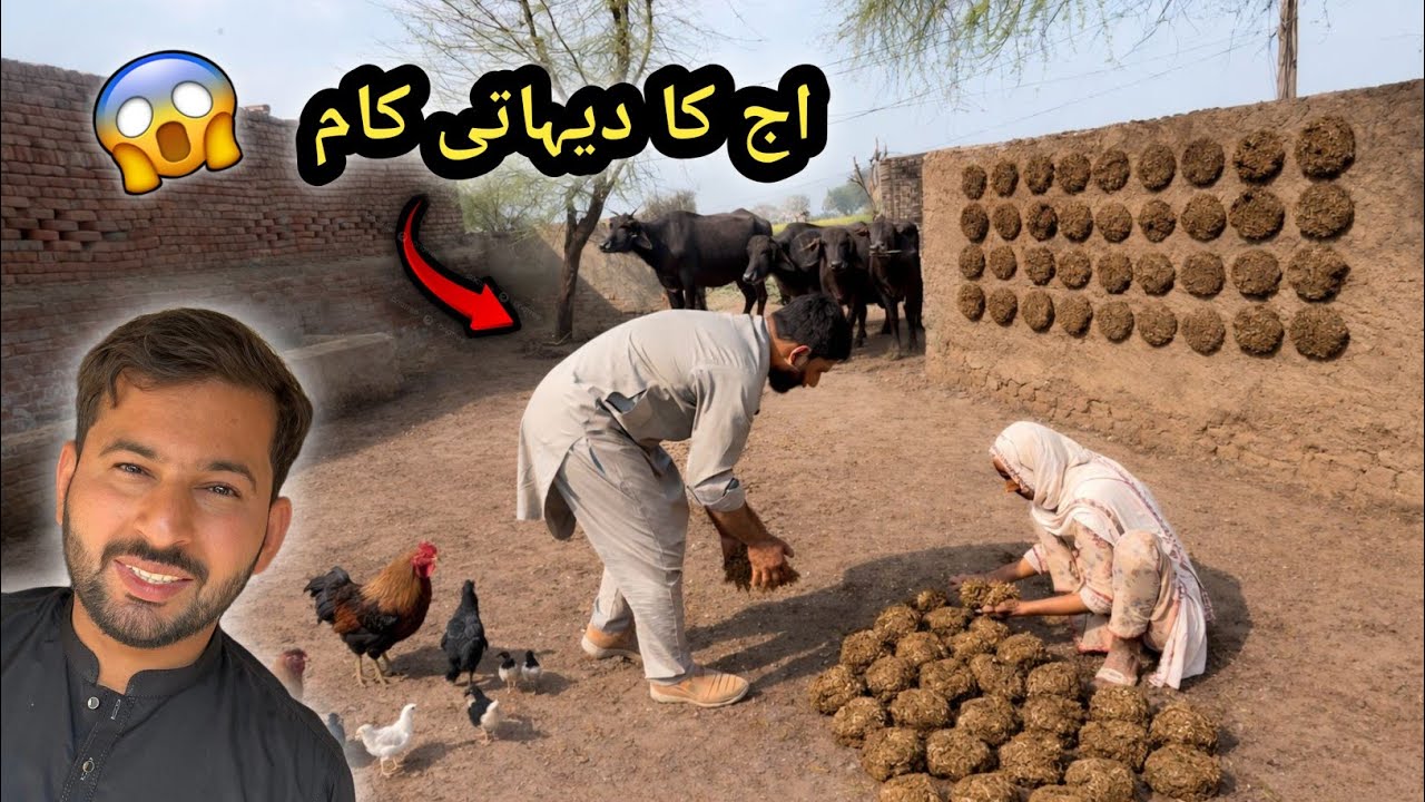 👉 آج ہم نے گوبر کی پیسیاں بنائیں | گاؤں کی زندگی