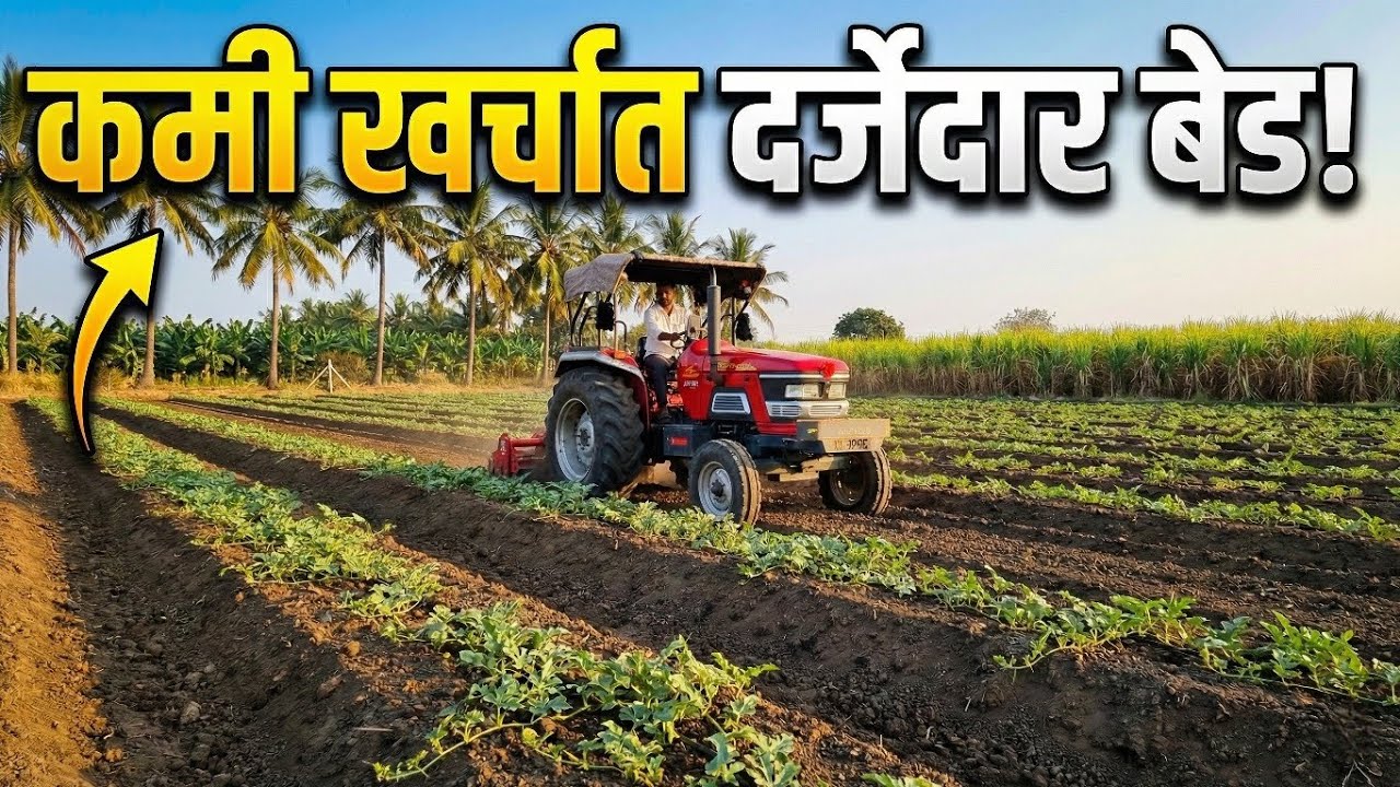टरबूज लागवड: बेड तयार करण्याची आधुनिक आणि योग्य पद्धत | Watermelon Bed Preparation